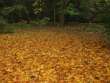 Park Wojciecha Bednarskiego - dzielnica Podg�rze - Krakow (Cracow) photos, Poland photos