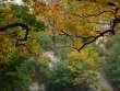 Park Wojciecha Bednarskiego - dzielnica Podg�rze - Krakow (Cracow) photos, Poland photos