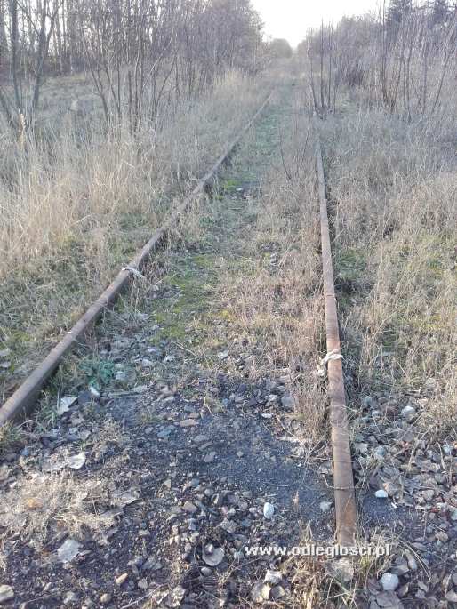 Nieczynna linia kolejowa do Międzychodu - Szamotuły