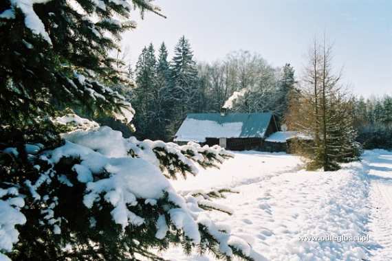 Winter - Czarna Bialostocka. Photo 1736 / 1909